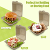 Sugarcane Bagasse Fast Food Packaging Container Burger Box 