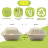 Sugarcane Bagasse Fast Food Packaging Container Burger Box 