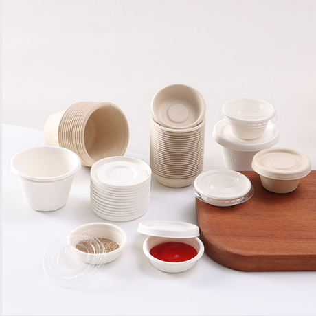 Manufacturer of environmentally friendly biodegradable sugarcane pulp dipping cups